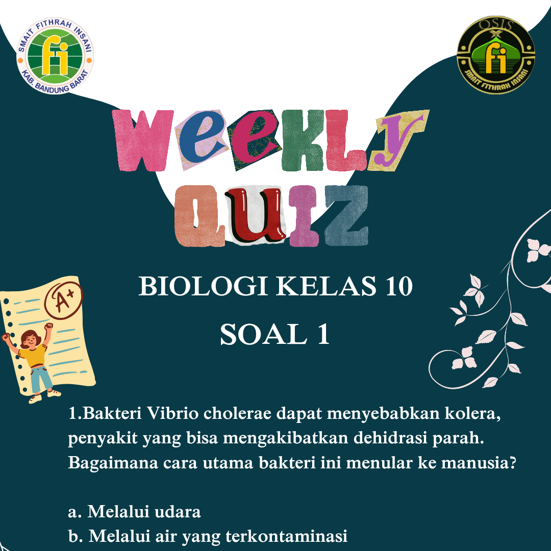 Weekly Quiz Documentation 2